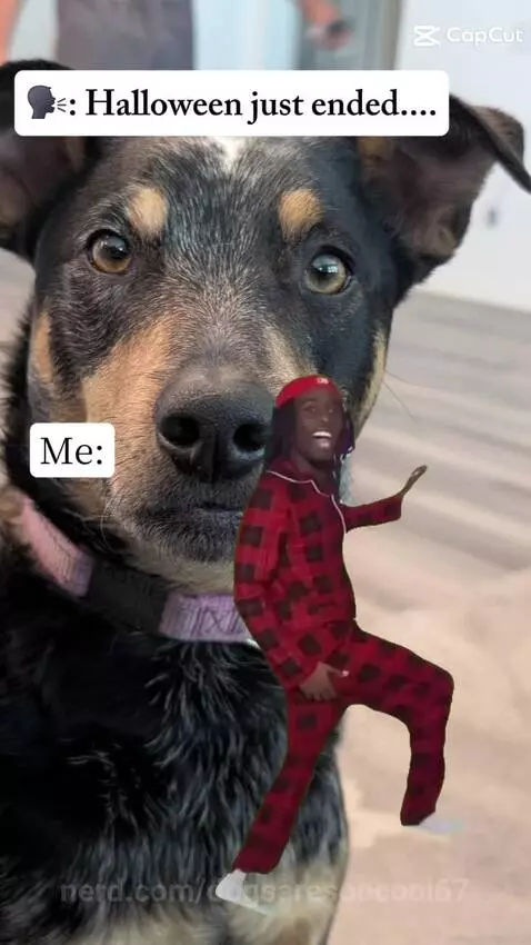 Pov those pepole by dogsaresoocool67