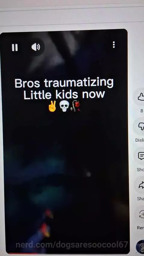 Video by dogsaresoocool67