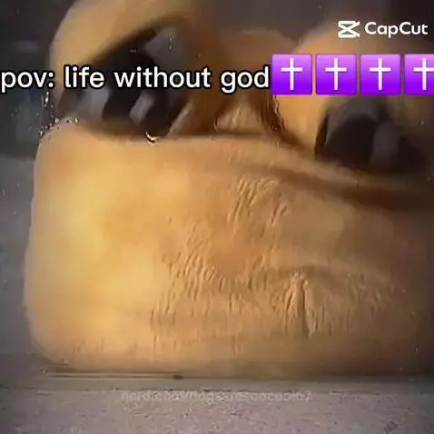 Video by dogsaresoocool67