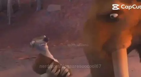 Video by dogsaresoocool67