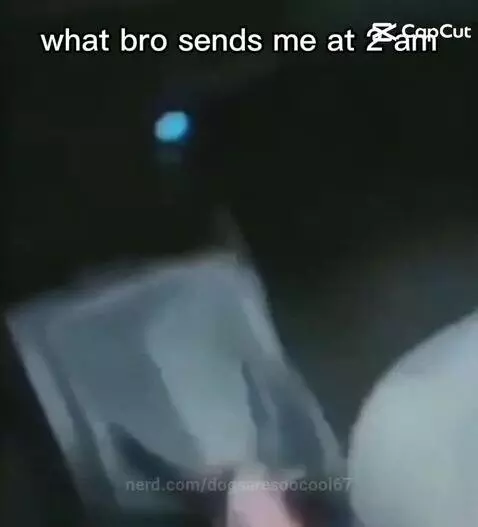 Video by dogsaresoocool67