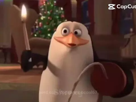 Video by dogsaresoocool67