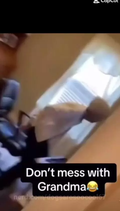 Video by dogsaresoocool67