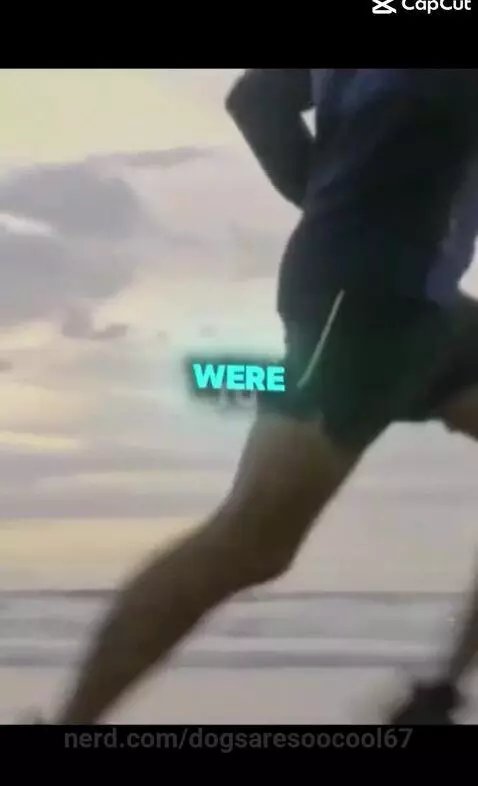 Video by dogsaresoocool67