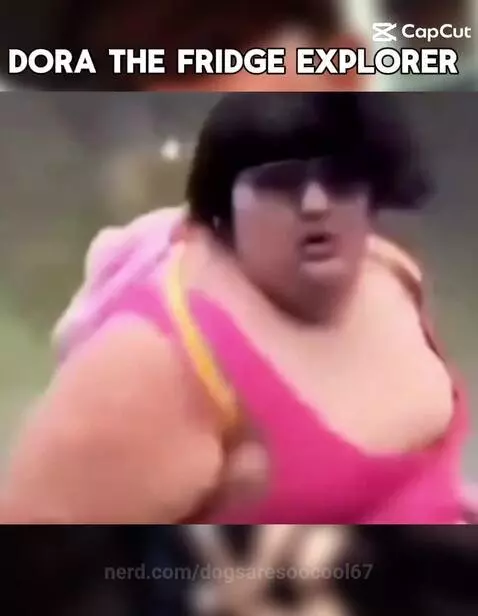 Video by dogsaresoocool67