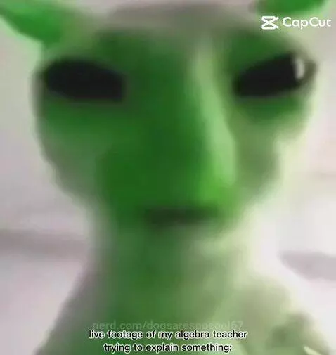 Video by dogsaresoocool67