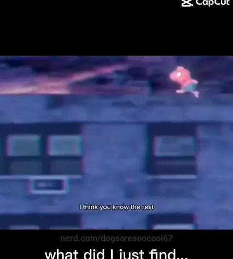 Video by dogsaresoocool67