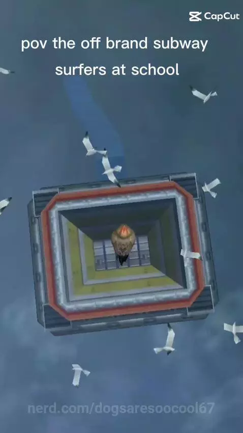 Video by dogsaresoocool67