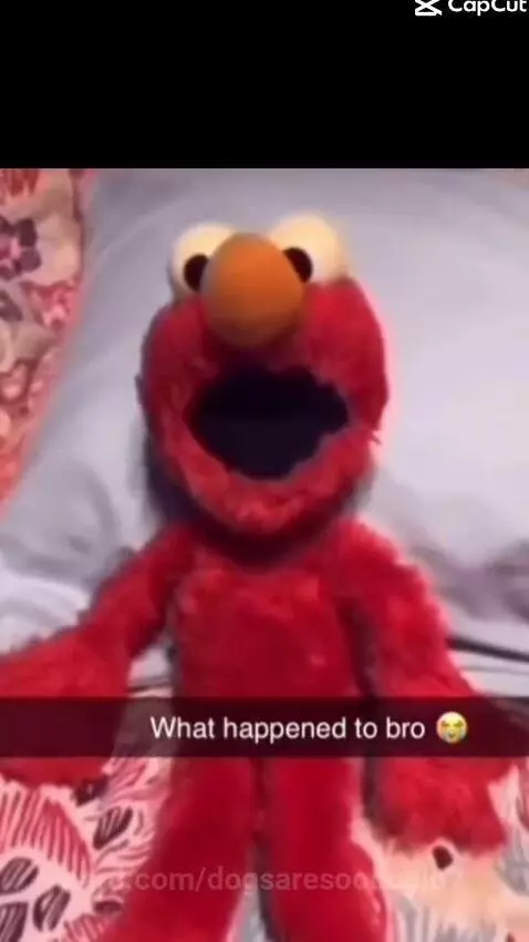 Video by dogsaresoocool67