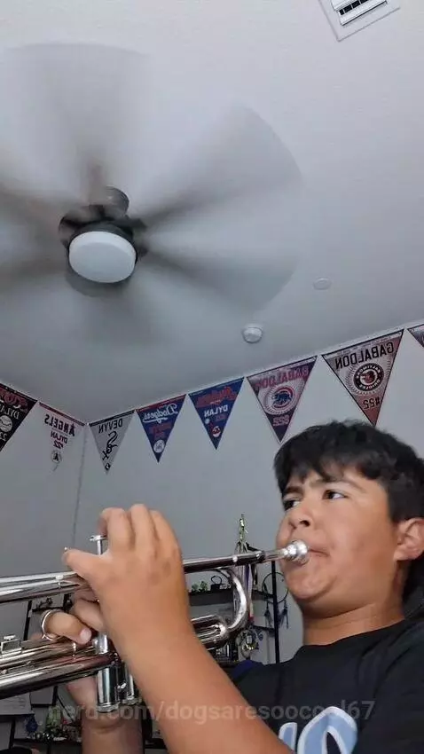 Video by dogsaresoocool67