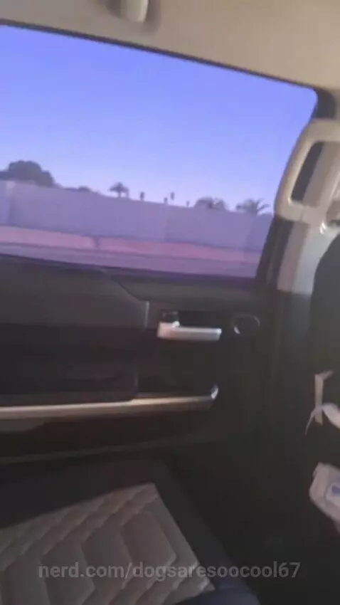 gooorangers by dogsaresoocool67