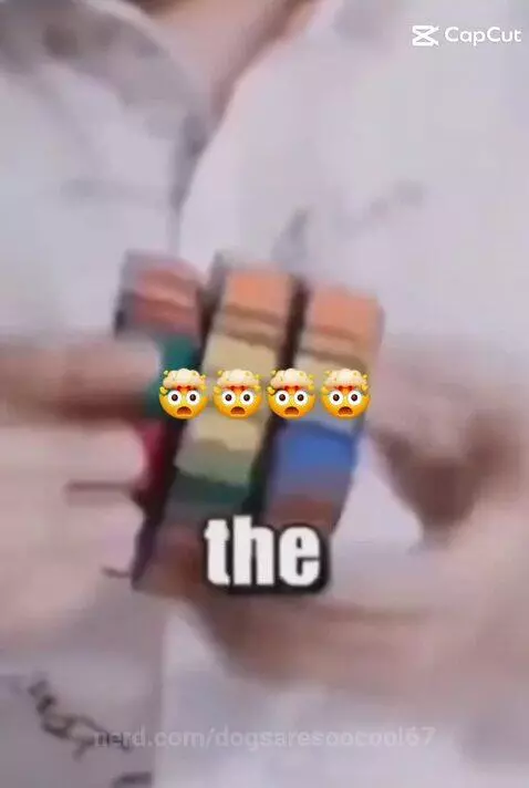 Video by dogsaresoocool67