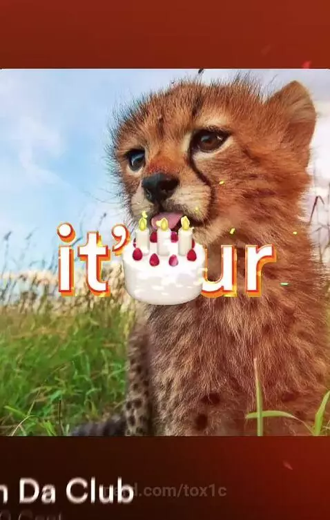 Not my Birthday, it's my sister's  (so Happy Birthday to her... by tox1c