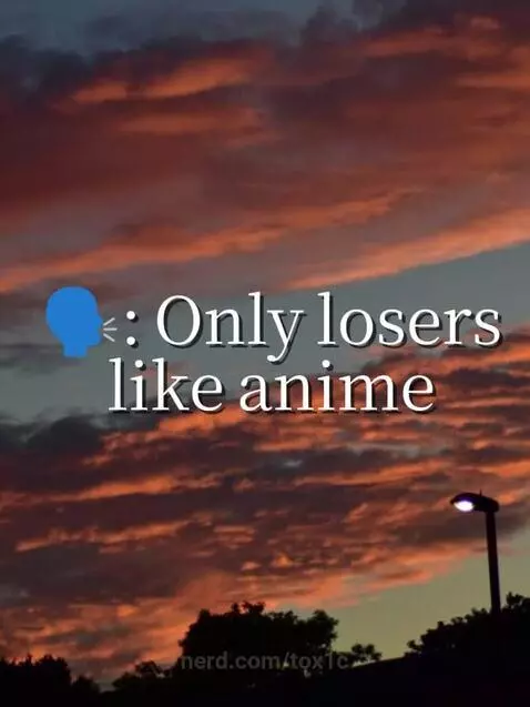 Not all people that like anime are losers by tox1c