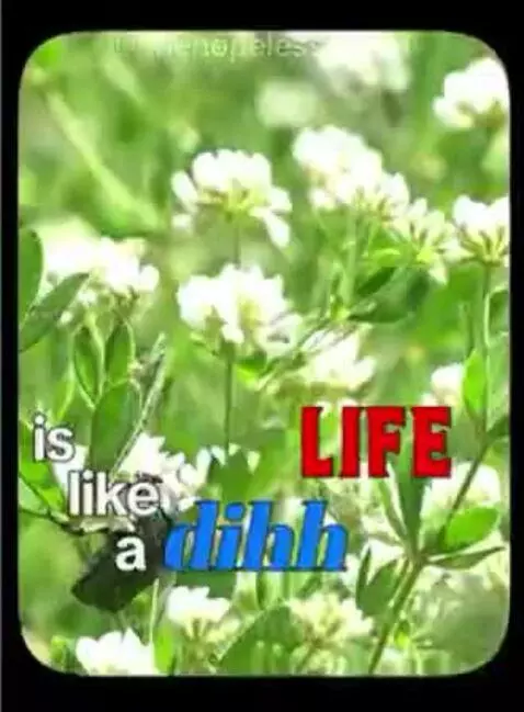 Life is like a dihh by royyyloverchey