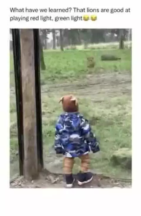 He wasn't playing red light green light.... But still cute!! by sigmaz67