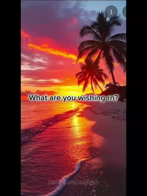 Never met her... by aaliyah