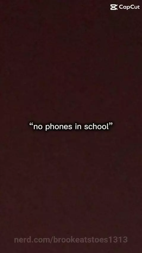 All this pics are from me at school with my besties by brookeatstoes1313