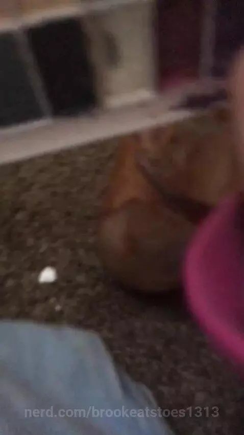 Video by brookeatstoes1313