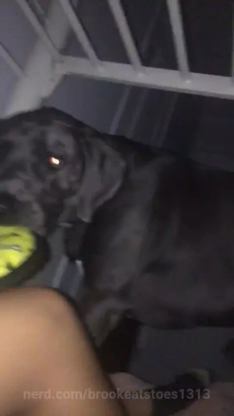 Video by brookeatstoes1313