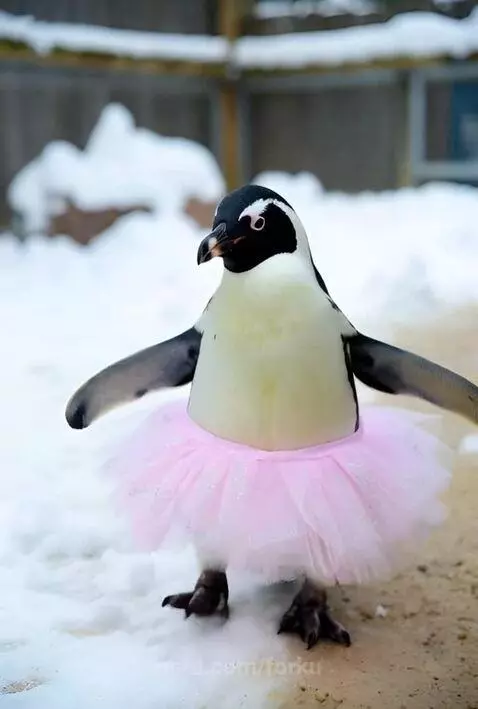 Dance I say dance by forku