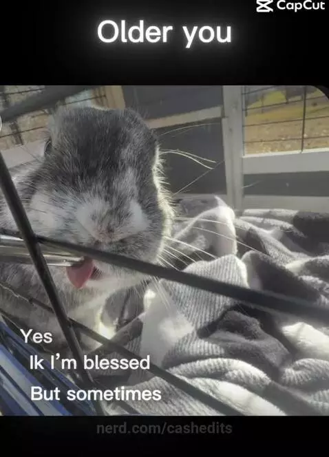 Time is time. by cashedits