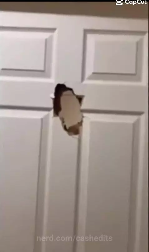 Elmo funny by cashedits