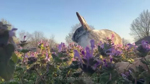 I found something strange guys by cashedits