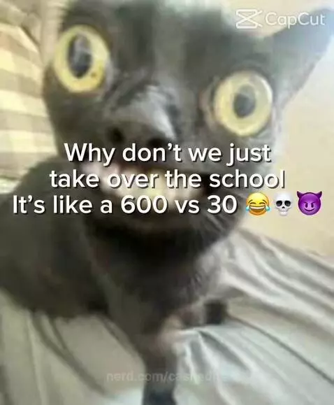 Like what by cashedits