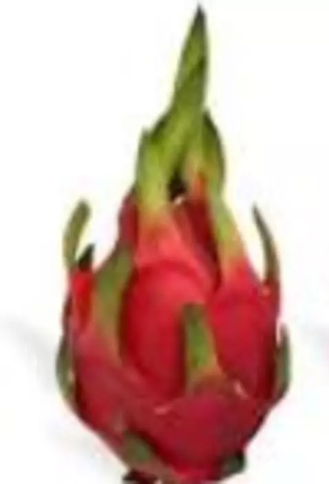 toodles, off to school! by shawtybaelover4