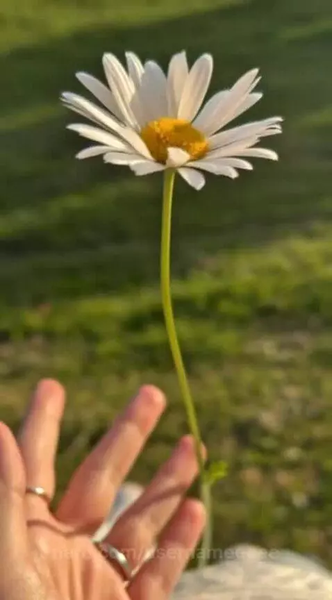 Video by usernameeeee