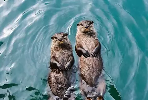 Video by usernameeeee