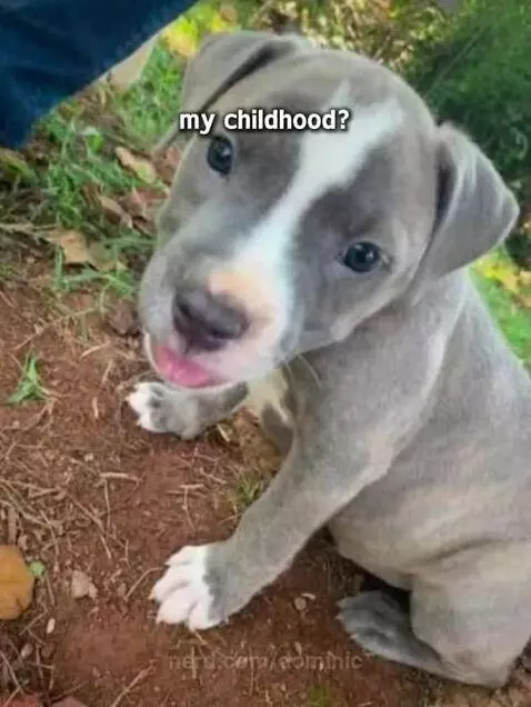 I really don't not know by dominic