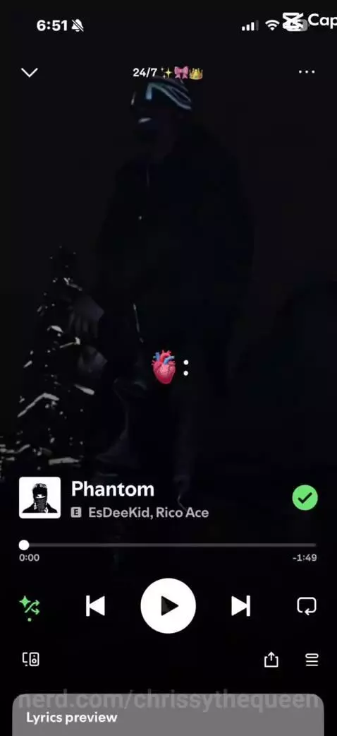 My playlist 🎵📱 by chrissythequeen