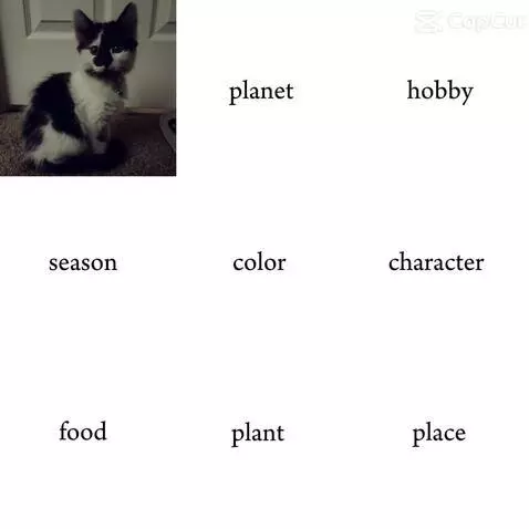 How Pinterest sees me by chrissythequeen