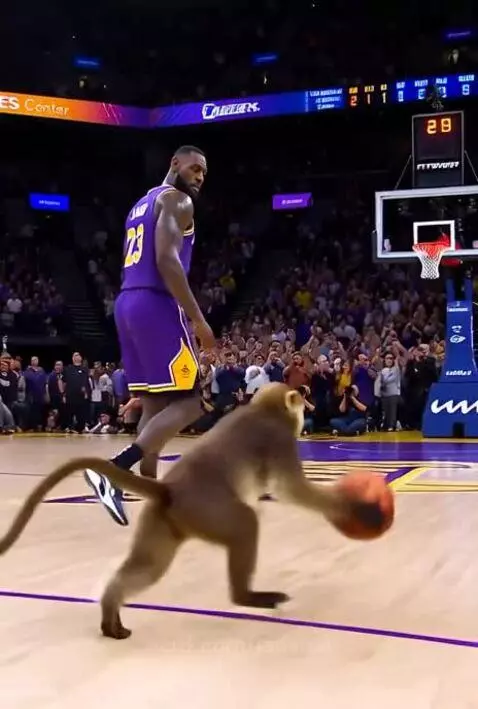 Monkey dunks on Lebron by jadenai