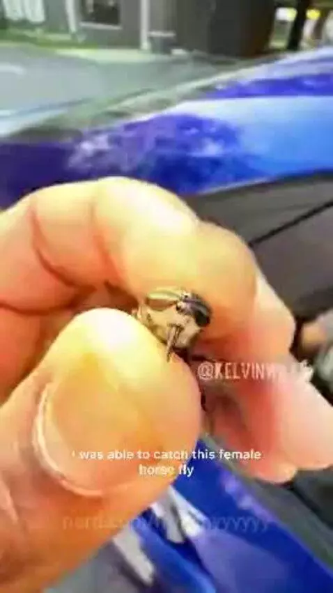 This is crazy by frenchyyyyyy