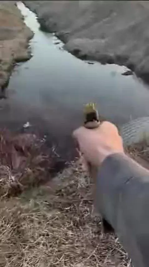 Nice Gun by frenchyyyyyy