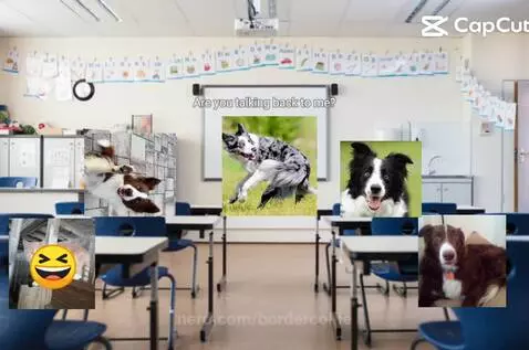 That one kid by bordercollie