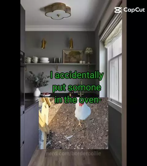 Me when my friends are over by bordercollie