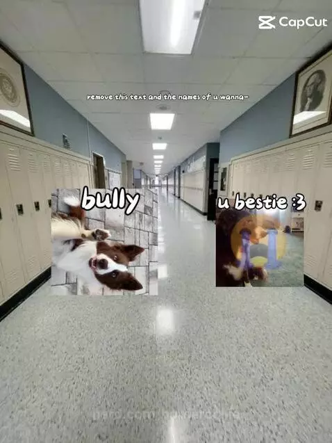 Video by bordercollie