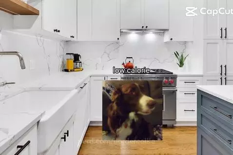 Video by bordercollie