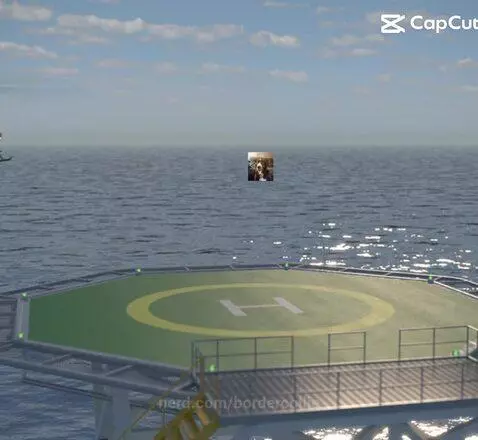 Video by bordercollie