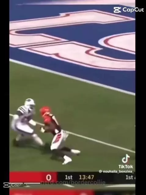 Video by bordercollie