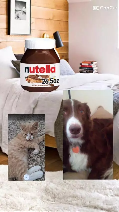 Little children be like by bordercollie