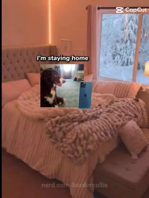 Video by bordercollie