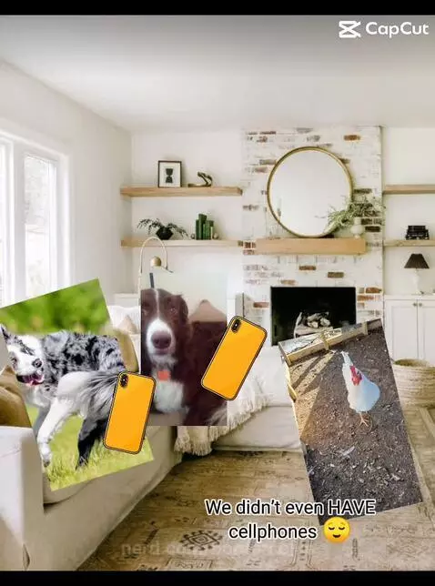 Video by bordercollie