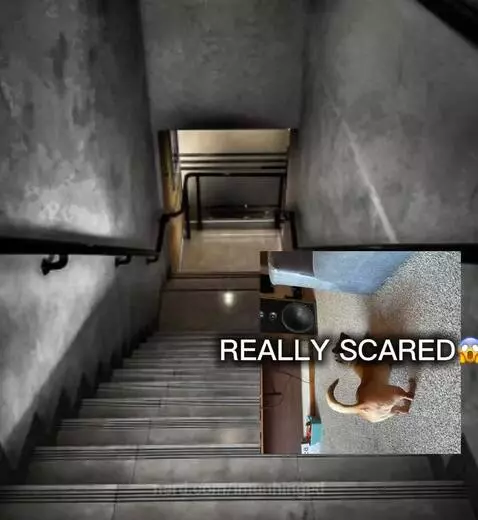 Hell no by imunhinged