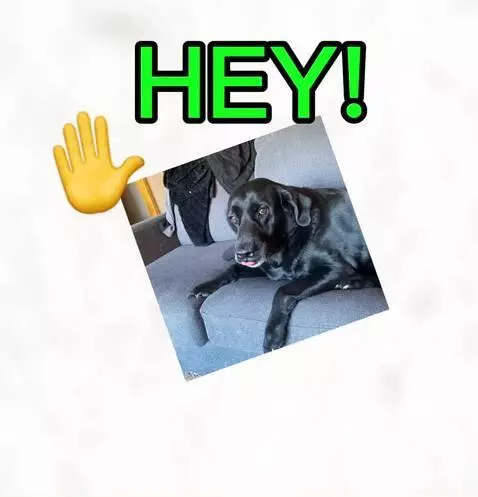 Come here by imunhinged