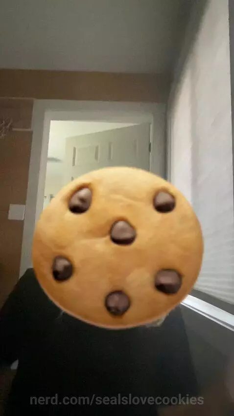 RIP SEALIONLOVER67 NOW WE ARE SEALSLOVEDOOKIESSS by sealslovecookies